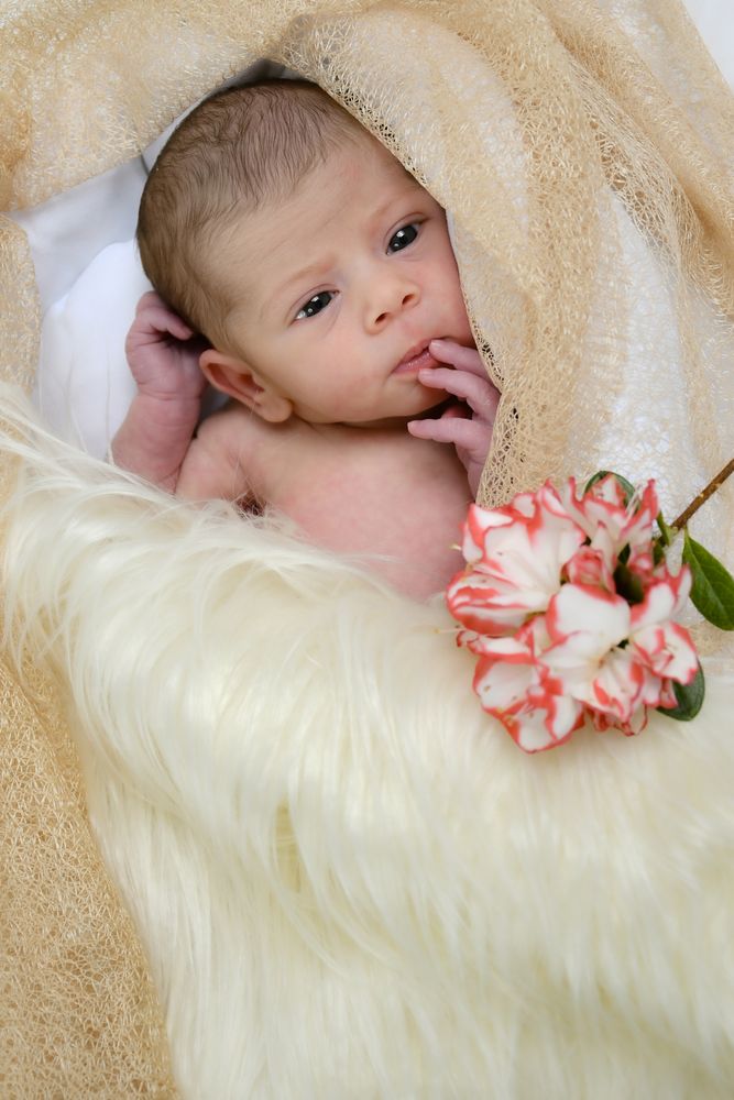 foto new born in studio fotografico