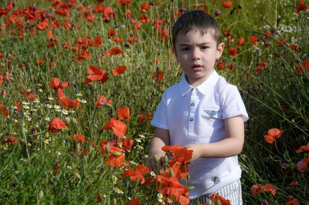 foto realizzata in un campo di papaveri