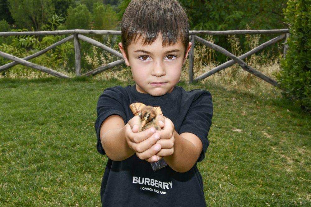 foto di niccolò con pulcino